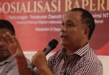 Anggota DPRD NTB Made Selamet Angkat Bicara, Tenaga Honorer Bukan Pegawai Ilegal!